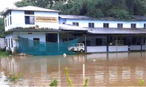 കു​ടും​ബാ​രോ​ഗ്യ കേ​ന്ദ്ര​ത്തി​ൽ വെ​ള്ളം ക​യ​റി; ആ​ശു​പ​ത്രി പ്ര​വ​ർ​ത്ത​നം വീ​ട്ടി​ലേ​ക്ക് മാ​റ്റി