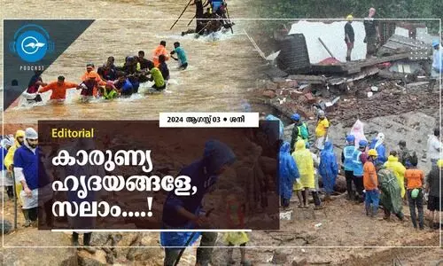 കാരുണ്യ ഹൃദയങ്ങളേ, സലാം....!