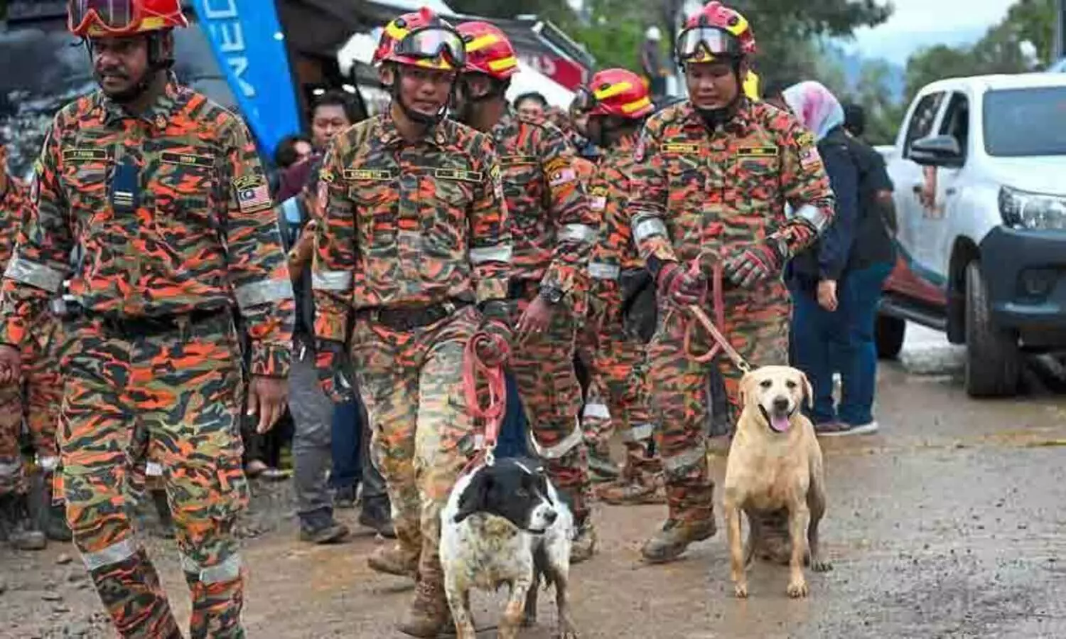 യന്ത്രങ്ങൾ എത്തിച്ചേരാൻ ദുഷ്കരമായ മലയിടുക്കുകളിലും കുന്നിൻ ചെരിവുകളിലും വഴികാട്ടികളായി  ഡോഗ് സ്ക്വാഡുകൾ