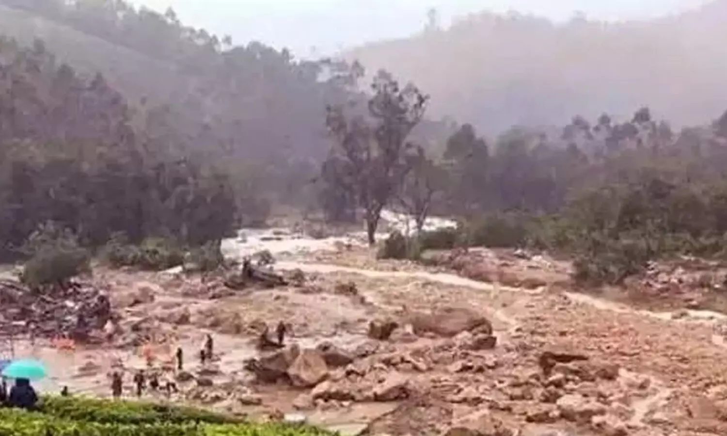 വളർത്തുമൃഗങ്ങൾ അനാഥരല്ല, 24 മണിക്കൂർ കൺട്രോൾ റൂം ചൂരൽമലയിൽ