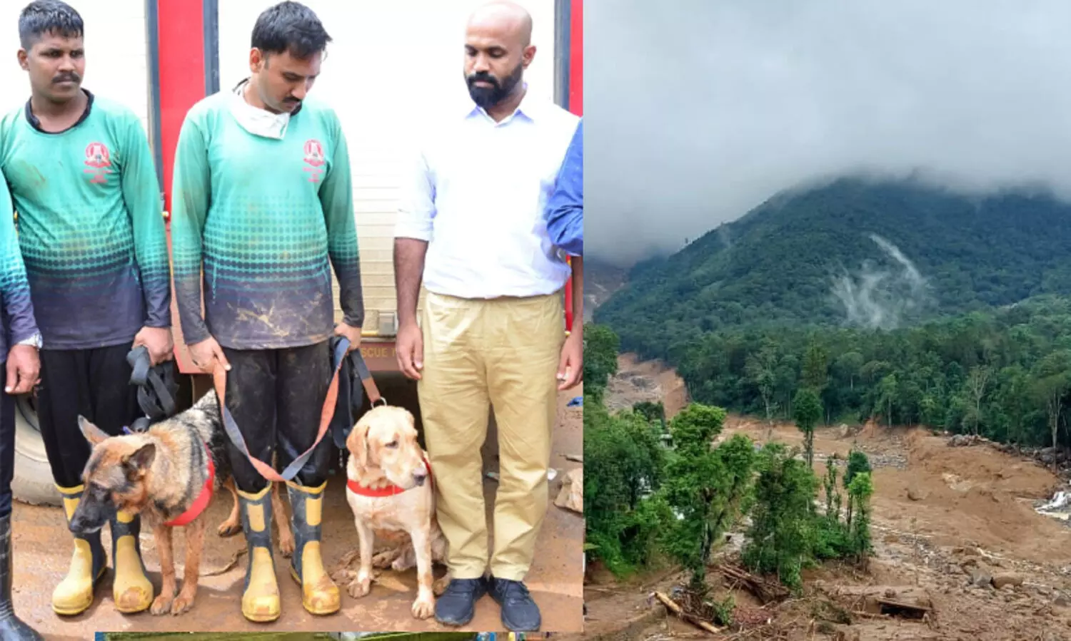 ദുരന്തഭൂമിയിൽ വഴി കാട്ടികളായി ഡോഗ് സ്ക്വാഡുകൾ