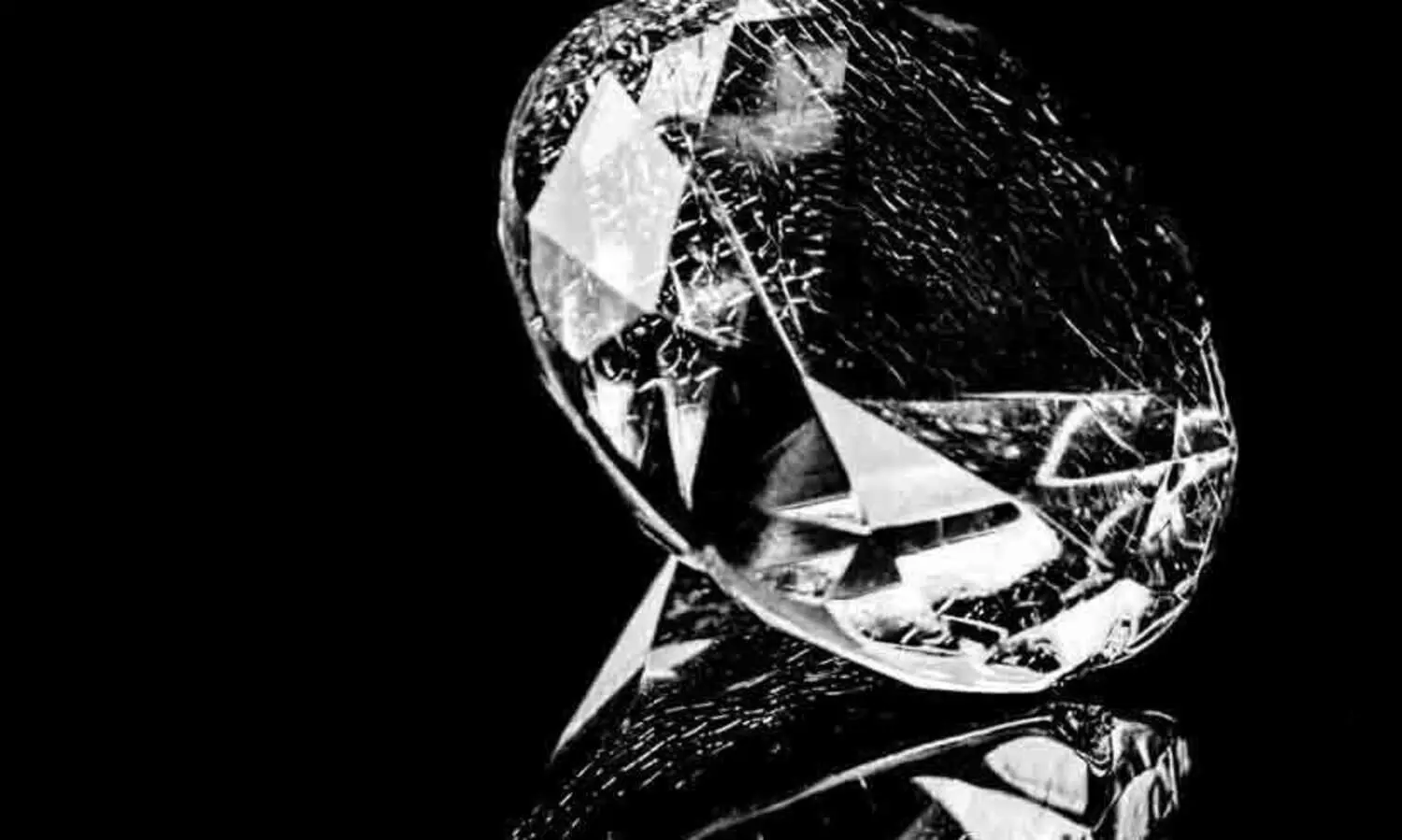 മാലിന്യച്ചാക്കിൽ അഞ്ചുലക്ഷത്തിന്‍റെ ഡയമണ്ട്; ഉടമക്ക് തിരിച്ചുനൽകി ഹരിത കർമസേന