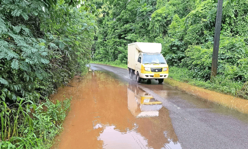 കാടും വെള്ളക്കെട്ടും; ഇവിടെ അപകടം പതിയിരിക്കുന്നു കാടും വെള്ളക്കെട്ടും; ഇവിടെ അപകടം പതിയിരിക്കുന്നു