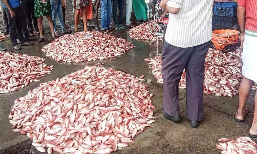 Boats back in harbor Boats back in harbor