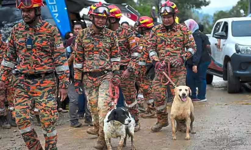യന്ത്രങ്ങൾ എത്തിച്ചേരാൻ ദുഷ്കരമായ മലയിടുക്കുകളിലും കുന്നിൻ ചെരിവുകളിലും വഴികാട്ടികളായി  ഡോഗ് സ്ക്വാഡുകൾ