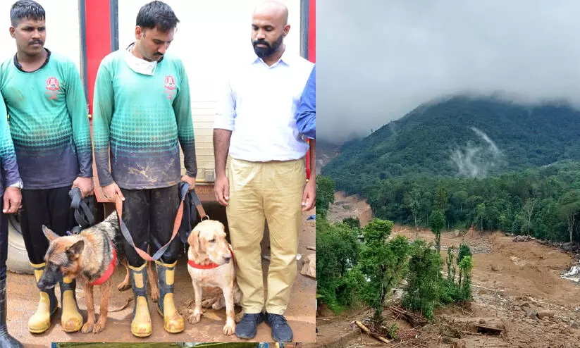 ദുരന്തഭൂമിയിൽ വഴി കാട്ടികളായി ഡോഗ് സ്ക്വാഡുകൾ