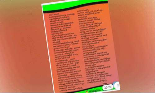 കഥയിലെ ആശങ്കകൾ യാഥാർഥ്യമായി; അച്ഛനെ നഷ്ടപ്പെട്ട് ലയ മോൾ