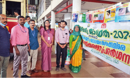 കൊ​തു​ക് പെ​രു​കു​ന്നു; ജില്ലയിൽ ഡെ​ങ്കി​പ്പ​നി ഭീതി ഉയരുന്നു