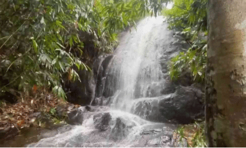 എസ്റ്റേറ്റ് റോഡുകൾ ആളുകളെ അനധികൃതമായി കയറ്റിവിടുന്നതിനെതിരെ നടപടി