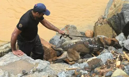 തിരച്ചിലിന് തമിഴ്നാടിന്‍റെ അഞ്ച് ഡോഗ് സ്ക്വാഡുകൾ