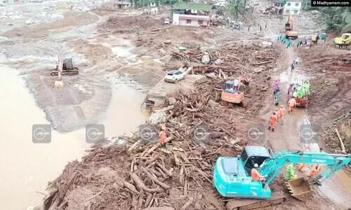 landslide 9878687567