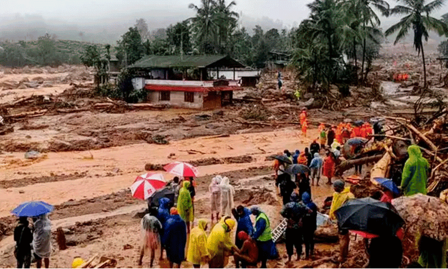 Wayanad Landslide
