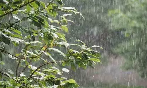 മഴ തുടരും; ആറ് ജില്ലകളിൽ യെ​ല്ലോ അലർട്ട്