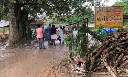 മേപ്പാടി ഹിന്ദു ശ്മശാനം മേപ്പാടി ഹിന്ദു ശ്മശാനം