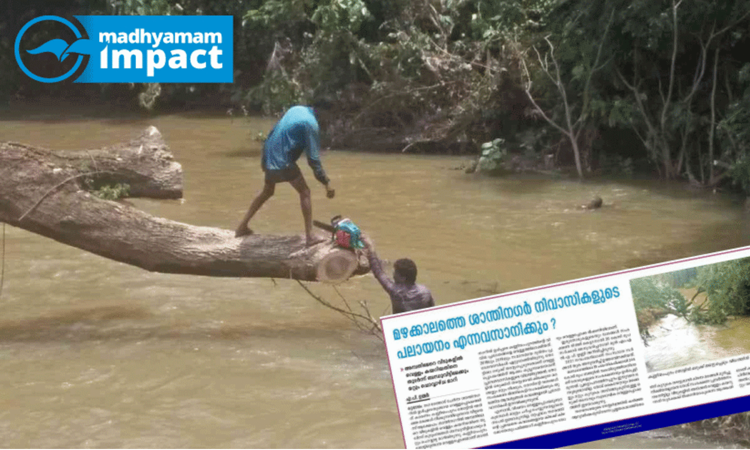 കണ്ണിയംപുറം തോട്ടിൽ ഒഴുക്കിന് തടസ്സമായ മരങ്ങൾ മുറിച്ചുനീക്കി