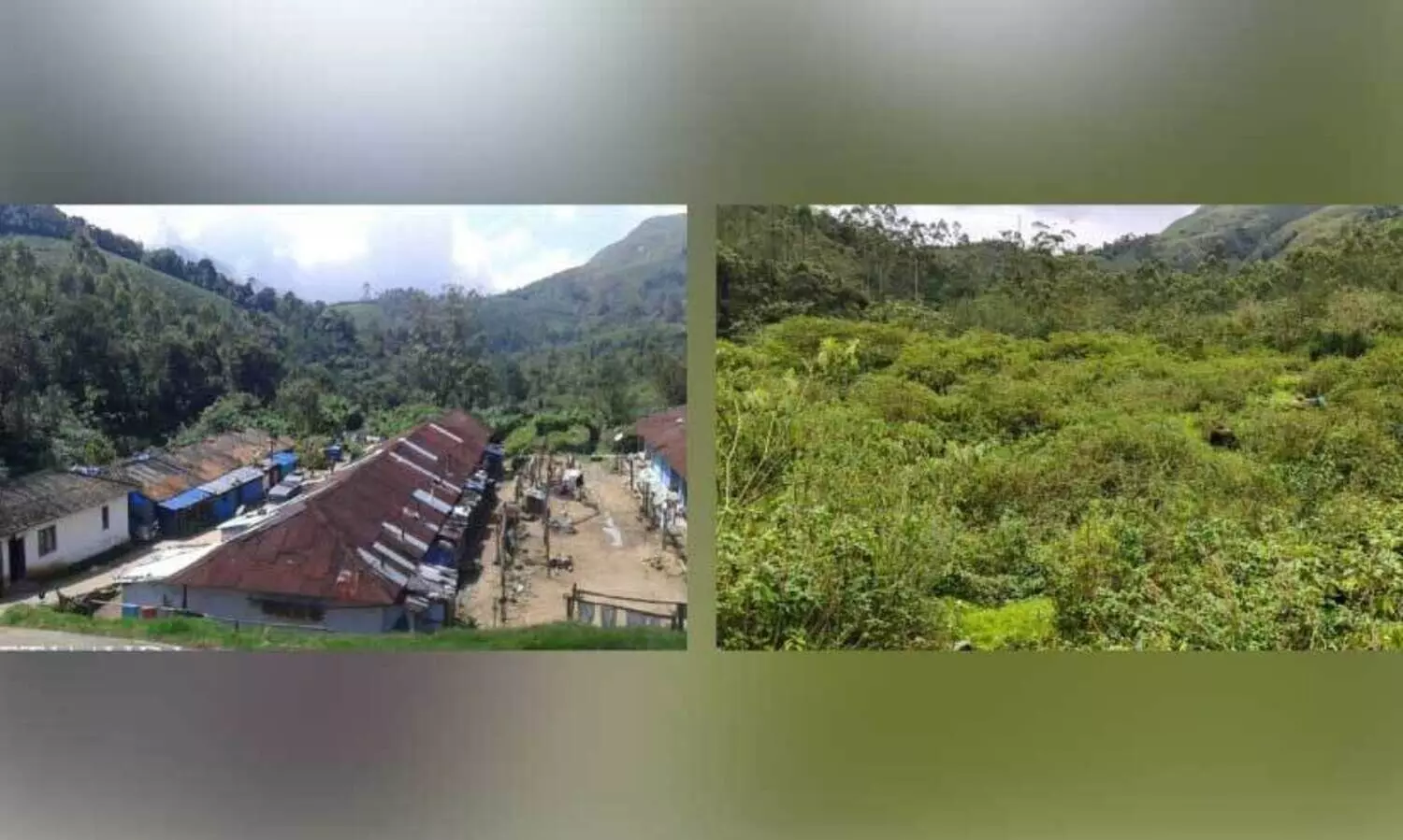 Pettimudi before and after disaster