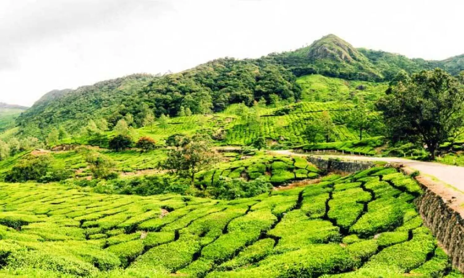 പ​ശ്ചി​മഘ​ട്ട പ​രി​സ്ഥി​തി ലോ​ലമേ​ഖ​ല; കരടിൽ വില്ലേജുകളെ ഒഴിവാക്കാത്തതിൽ പ്രതിഷേധം