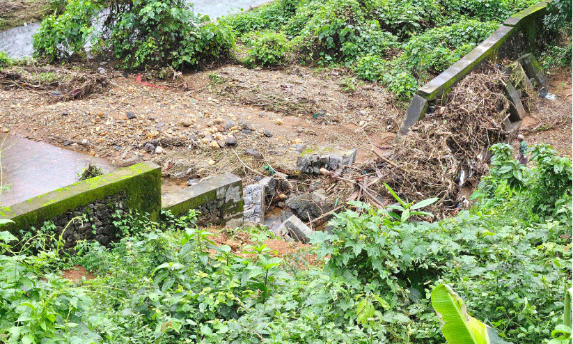 ആറളം ആനമതിൽ പുനർനിർമിച്ചില്ലെങ്കിൽ വരാനിരിക്കുന്നത് ‘ആനക്കലി’