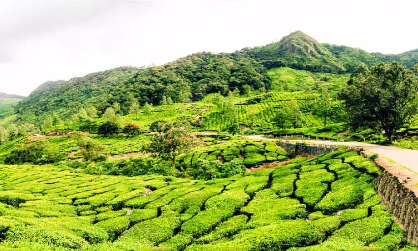 പശ്ചിമഘട്ട പരിസ്ഥിതി ലോലമേഖല; കരടിൽ വില്ലേജുകളെ ഒഴിവാക്കാത്തതിൽ പ്രതിഷേധം പശ്ചിമഘട്ട പരിസ്ഥിതി ലോലമേഖല; കരടിൽ വില്ലേജുകളെ ഒഴിവാക്കാത്തതിൽ പ്രതിഷേധം