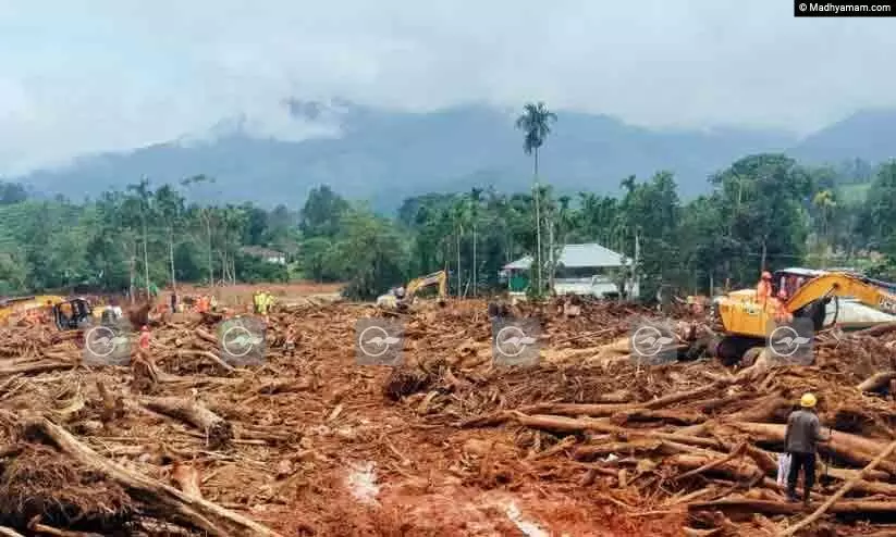 വയനാടിനെ സഹായിക്കാൻ സാലറി ചാലഞ്ചുമായി സർക്കാർ; ലക്ഷ്യം ജീവനക്കാരുടെ അഞ്ചു ദിവസത്തെ ശമ്പളം