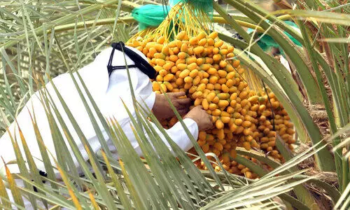 agriculture agriculture