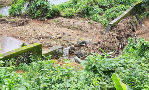 ആറളം ആനമതിൽ പുനർനിർമിച്ചില്ലെങ്കിൽ വരാനിരിക്കുന്നത് ‘ആനക്കലി’