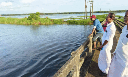 കുളവാഴയും ചണ്ടിയും നീക്കി; നീരൊഴുക്ക് കൂടി കൊട്ടച്ചാൽ