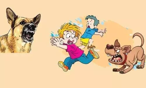 നഗരത്തെ വിറപ്പിച്ച് തെരുവുനായുടെ പരാക്രമം