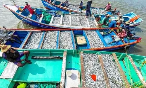 Boats seized from harbors