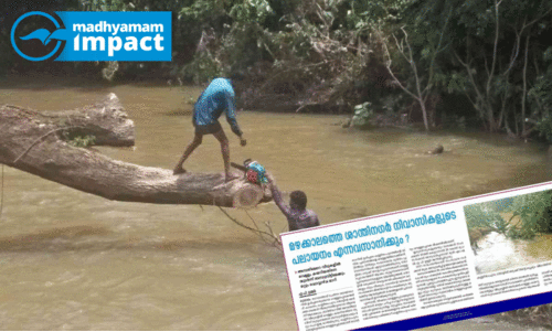 കണ്ണിയംപുറം തോട്ടിൽ ഒഴുക്കിന് തടസ്സമായ മരങ്ങൾ മുറിച്ചുനീക്കി