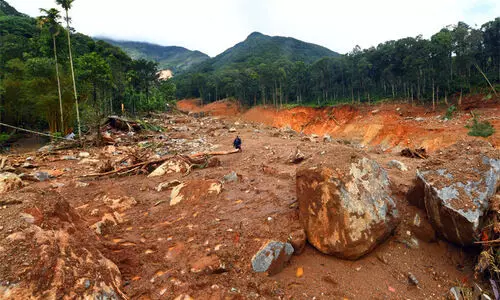 ദുരന്തമുഖത്ത് നോവിന്റെ അലച്ചിലായി വളർത്തുമൃഗങ്ങൾ