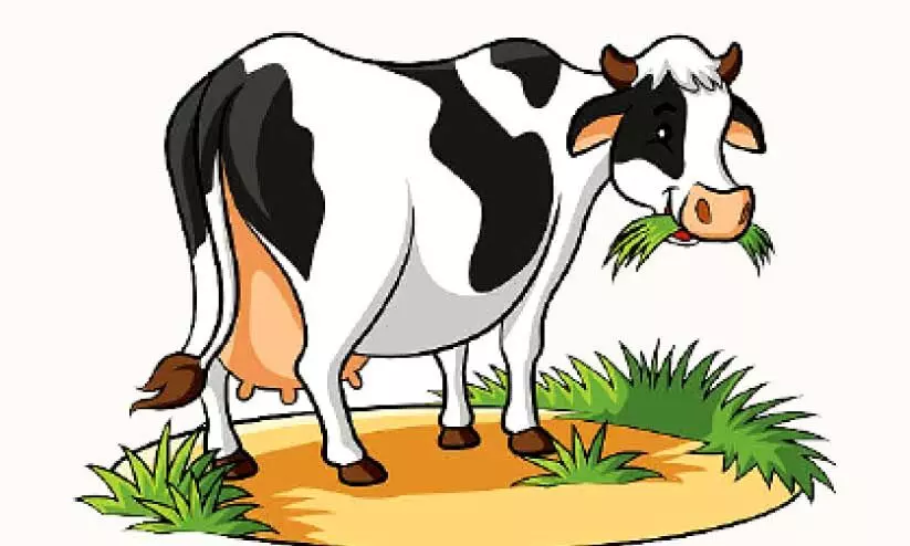 ക്ഷീരവികസന മേഖലയില്‍ 68.13 ലക്ഷത്തിന്റെ നഷ്ടം