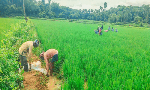 Heavy rain Heavy rain