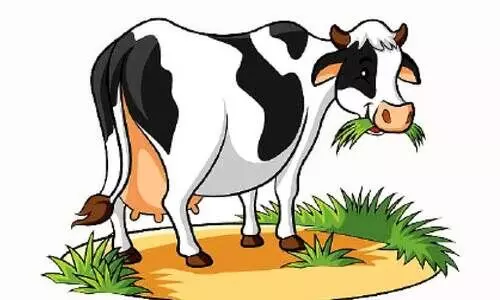 ക്ഷീരവികസന മേഖലയില്‍ 68.13 ലക്ഷത്തിന്റെ നഷ്ടം