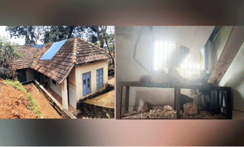 District Hospital Mortuary,