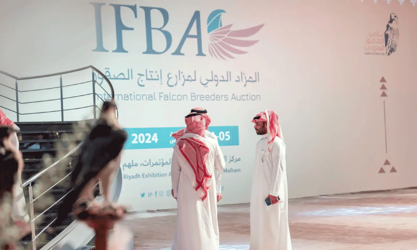 International Falcon Auction International Falcon Auction