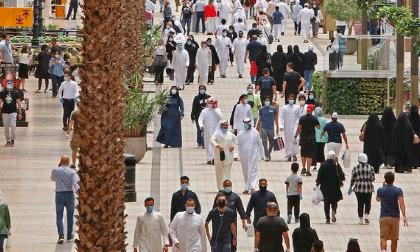 Public Authority for Civil Information