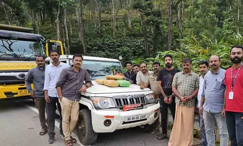 ടോറസ് ലോറിയിൽ കടത്തിയ പത്ത് കിലോ കഞ്ചാവുമായി രണ്ടു പേർ പിടിയിൽ ടോറസ് ലോറിയിൽ കടത്തിയ പത്ത് കിലോ കഞ്ചാവുമായി രണ്ടു പേർ പിടിയിൽ
