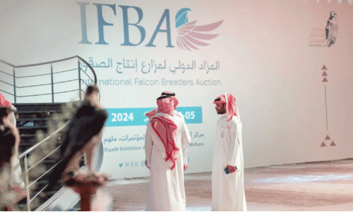 International Falcon Auction