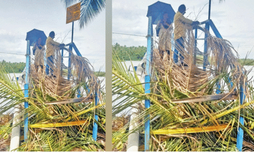 അപകട ഭീഷണി; പെരുന്തുരുത്തിപാലം അടച്ചു, പിന്നെ തുറന്നു