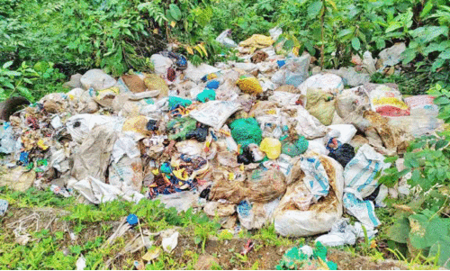 റോഡരികിൽ മാലിന്യം തള്ളിയ രണ്ടുപേർക്കെതിരെ കേസെടുത്തു