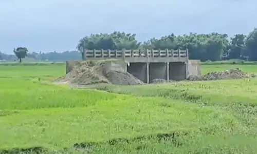 ബിഹാറിൽ പാടത്തിന് നടുവിൽ പാലം നിർമിച്ചു; ചെലവ് മൂന്ന് കോടി