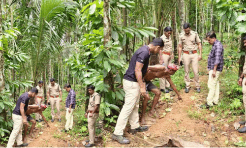 പുലിഭീതി ഒഴിയുന്നില്ല;  കല്ലപ്പള്ളിയിലെ തോട്ടത്തിൽനിന്ന് വളർത്തുനായെ പുലിപിടിച്ചു