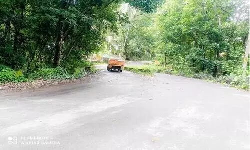 അനക്കമില്ലാതെ അധികൃതർ; പുളിക്കൻപാറ പാലം അപകടഭീഷണിയിൽ