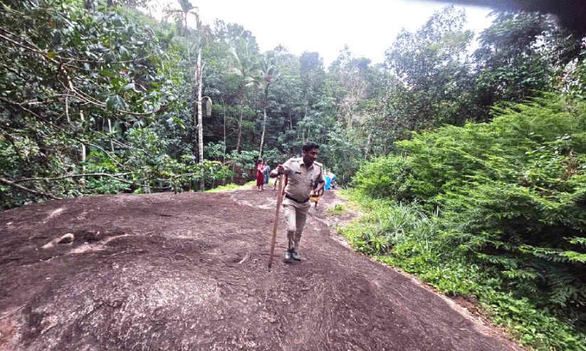 ആഴാംകുളം ഭാഗത്ത് കടുവയിറങ്ങിയെന്ന്​; പൊലീസും വനംവകുപ്പും തിരച്ചില്‍ ആരംഭിച്ചു