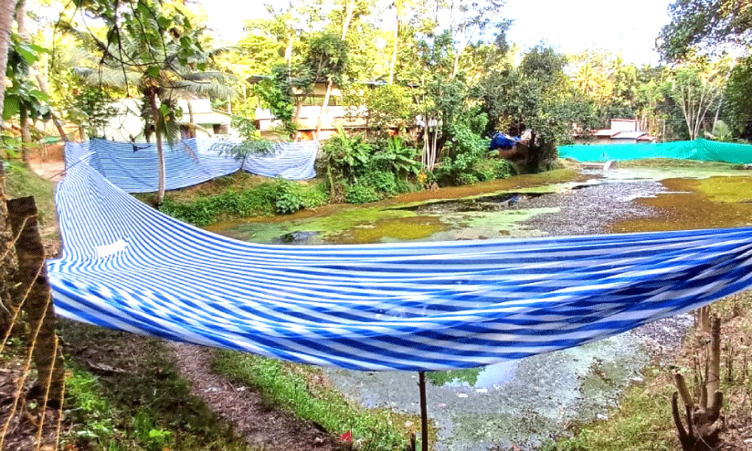 അമീബിക് മസ്​തിഷ്കജ്വരം: ദുരൂഹത മാറാതെ നെയ്യാറ്റിൻകര കണ്ണറവിള കാവിൻകുളം