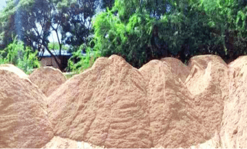 വളപട്ടണം പുഴയോരത്ത് വീണ്ടും മണൽ മാഫിയ പിടിമുറുക്കുന്നു