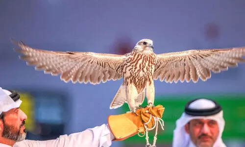 exhibition exhibition