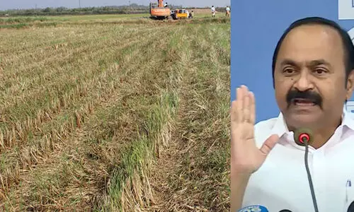 കര്‍ഷക ആത്മഹത്യ ആശങ്കയുണ്ടാക്കുന്നത്: സമഗ്ര കാര്‍ഷിക പാക്കേജും വായ്പകള്‍ക്ക് മൊറട്ടോറിയവും പ്രഖ്യാപിക്കാന്‍ സര്‍ക്കാര്‍ തയാറാകണമെന്ന് വി.ഡി. സതീശൻ