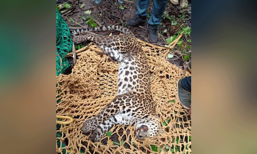 kasargod news kasargod news